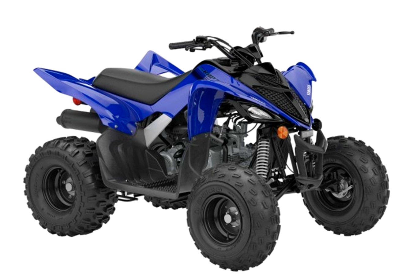 YAMAHA RAPTOR 110
