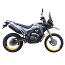 LONCIN DS250 ABS (EFI)