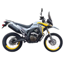 LONCIN DS250 ABS (EFI)