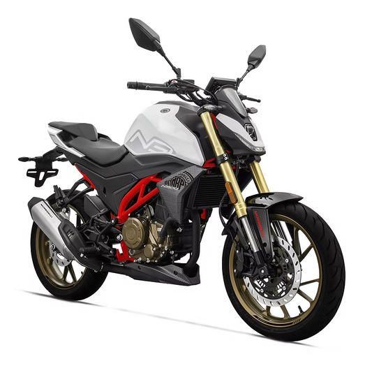 N 300